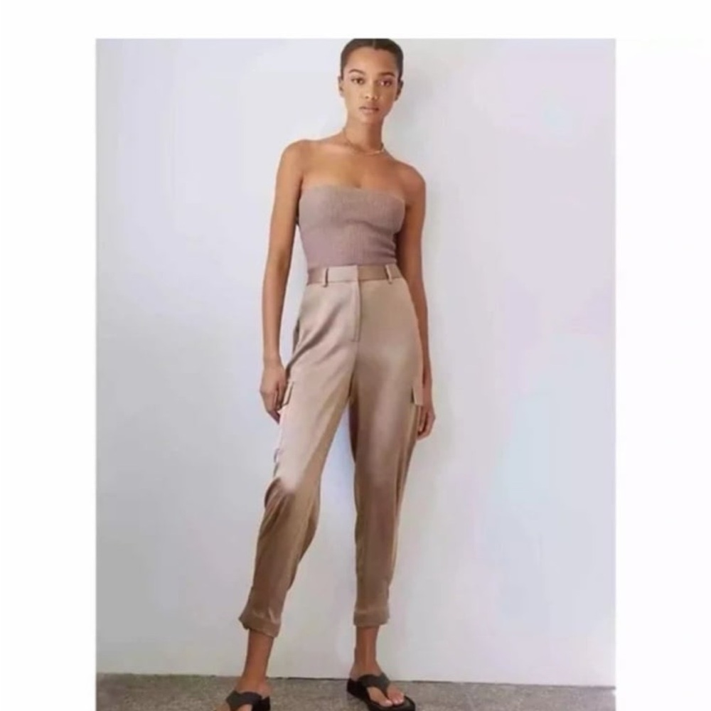 Babaton Aritzia cargo silky pants